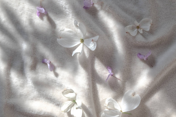 Gyönyörű fehér dogwood virágok fehér bolyhos szövet és gyönyörű árnyékok.  - Fotó, kép