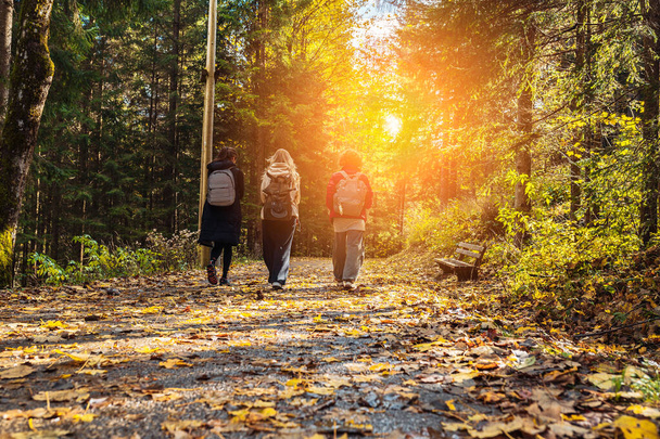 Gün batımında grup turistler sırt çantalarıyla orman yolunda yürüyor. - Fotoğraf, Görsel