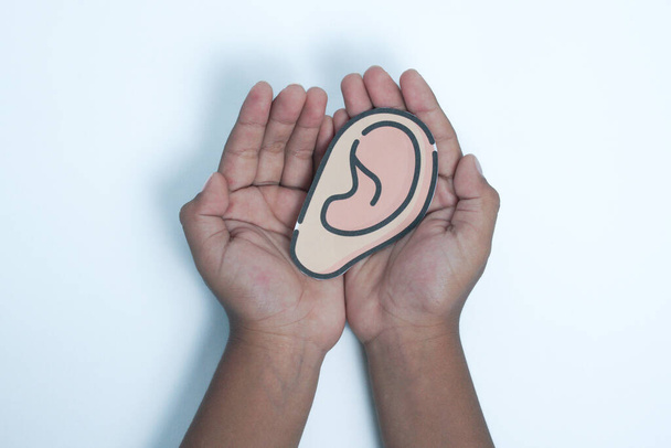 Sosteniendo un modelo de la oreja, un órgano humano, en ambas manos - Foto, imagen