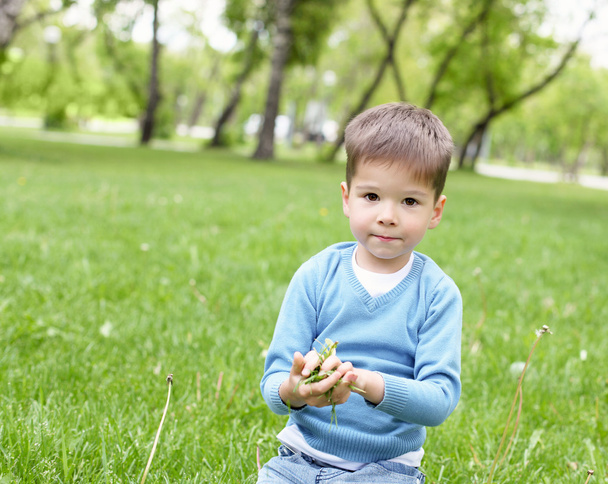 Portrait of a little boy outdoors - Fotoğraf, Görsel