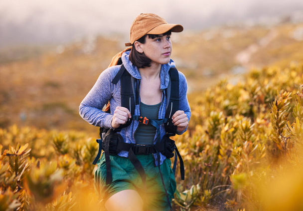 Mountains, hiking and woman in backpack for nature journey, travel and outdoor adventure with bush or plants. Young person from Australia search field, trekking and walking with fitness gear. - Photo, Image