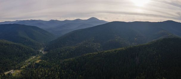 Aerial view of green pine forest with dark spruce trees covering mountain hills at sunset. Nothern woodland scenery from above. - Photo, Image