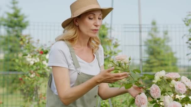Uśmiechnięta kobieta w średnim wieku w widoku profilu delikatnie pochyla głowę do wdychania zapachu ulubionych różowych piwonii. Dama czuje szczęście ze stworzonego raju kwiatów. Koncepcja idealnego hobby - Materiał filmowy, wideo