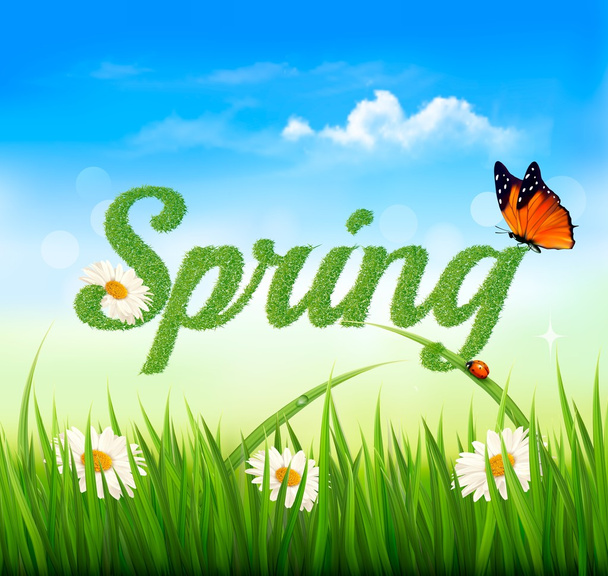 Spring background with grass, sky and a butterfly. Vector. - Διάνυσμα, εικόνα
