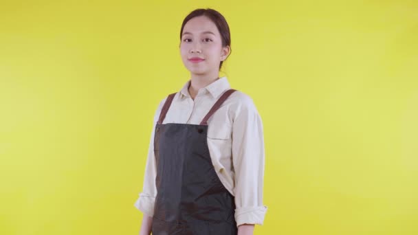 Porträt der jungen asiatischen Barista Frau mit Schürze stehend und Lächeln auf gelbem Hintergrund, Kellnerin oder Unternehmerin fröhlich, Kleinunternehmen oder Start-up, Kellner eines Cafés oder Cafés mit selbstbewussten. - Filmmaterial, Video