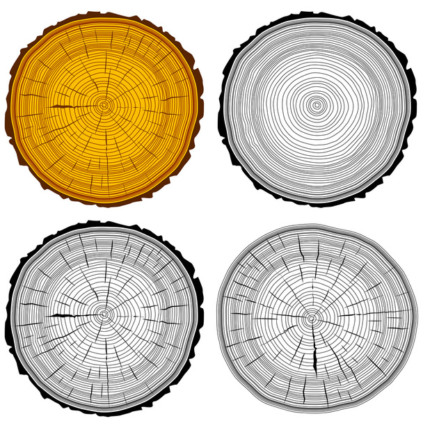 Set tree rings saw cut tree trunk background. Vector illustratio - Vector, Image