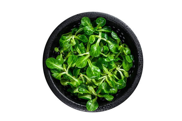 Čerstvě zelené listy kukuřičného salátu, jehněčí salát v colanderu. Izolováno na bílém pozadí - Fotografie, Obrázek