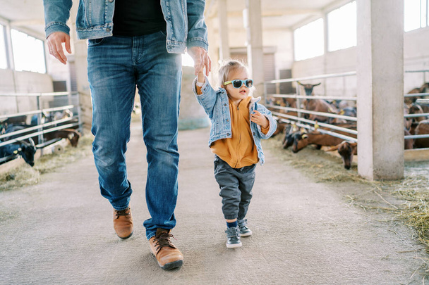 La niña con gafas de sol camina por la granja más allá de los corrales de cabra sosteniendo a su padre de la mano. Cultivado. Foto de alta calidad - Foto, imagen