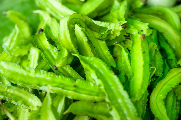 Pile of winged beans in the market, Thailand. - Photo, Image