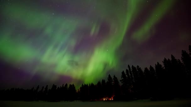 Espetacular verde a roxo Aurora em um céu cheio de estrelas acima de uma floresta perene com luz de fogo brilhando através das árvores. As luzes do norte estão iluminando a neve no  - Filmagem, Vídeo