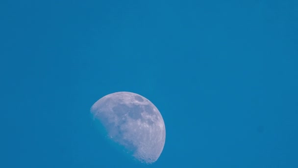 Η Σελήνη κινείται με χάρη μέσα από τα σύννεφα κατά τη διάρκεια της ημέρας - Πλάνα, βίντεο