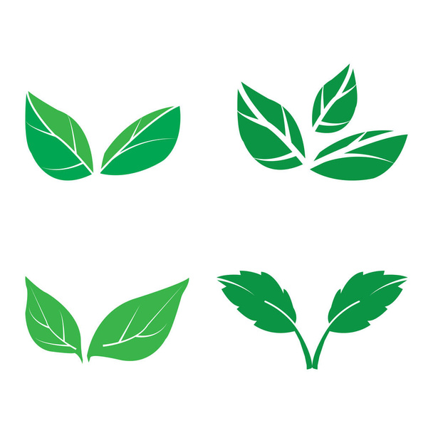 Leaf icon vector illustration symbol design - Vector, Image