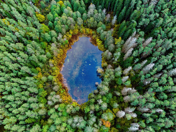 Aerial view of a lake in the forests of Lithuania, wild nature. Varena district, Europe. Dzukija national park. - Fotó, kép