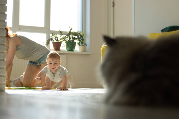 Een baby kruipend op de vloer naast een kat - Foto, afbeelding
