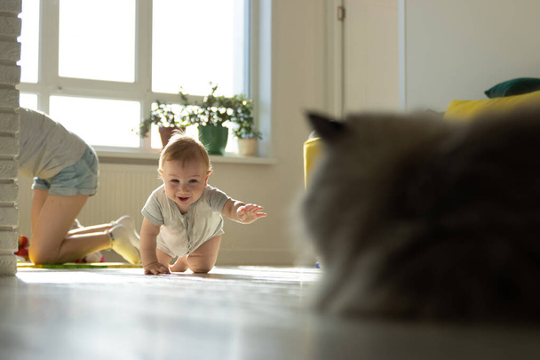 A baby crawling on the floor next to a cat - Photo, Image