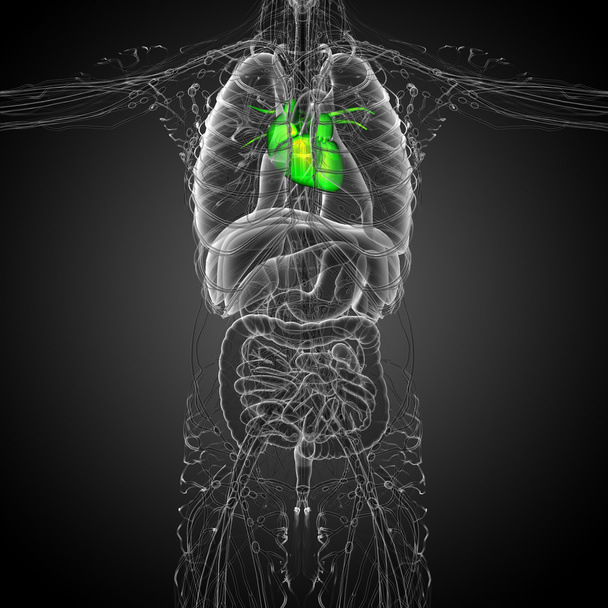 3D τετηγμένα ιατρική απεικόνιση μιας ανθρώπινης καρδιάς - Φωτογραφία, εικόνα