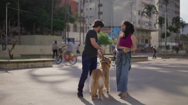 Ζευγάρι στο πάρκο με το φιλικό σκυλί τους απολαμβάνοντας το αεράκι του Σαββατοκύριακου και κουβέντα - Πλάνα, βίντεο