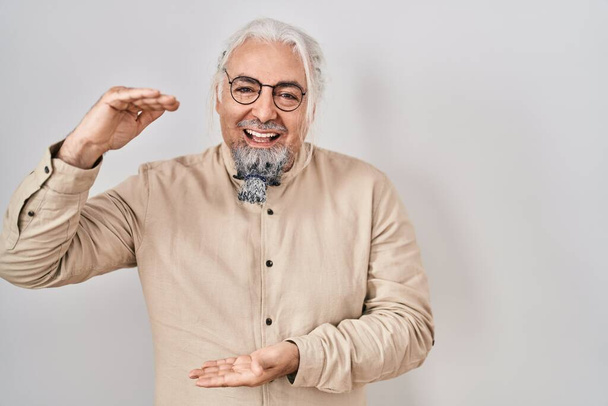Middle age man with grey hair standing over isolated background gesturing with hands showing big and large size sign, measure symbol. smiling looking at the camera. measuring concept.  - Photo, image