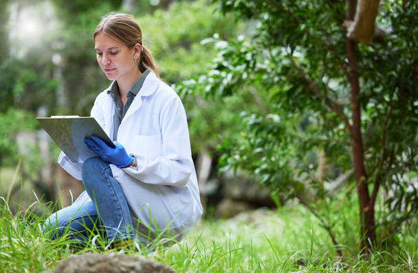 Science in forest, checklist of plants and woman in nature, studying growth of trees for sustainable analysis. Ecology, development and research in biology, scientist with clipboard test for grass - Photo, Image