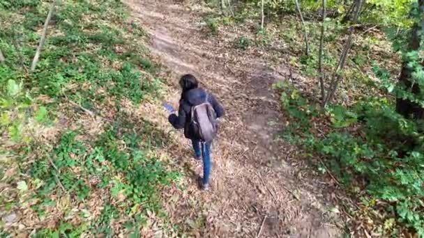 žena turistka s chytrým telefonem na stezce v lese, příroda  - Záběry, video