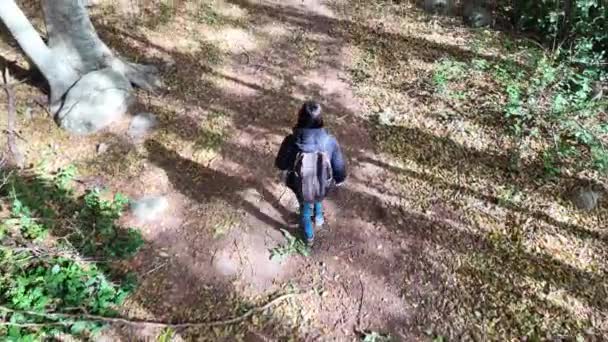 žena turistka s batohem procházky v lese, příroda - Záběry, video