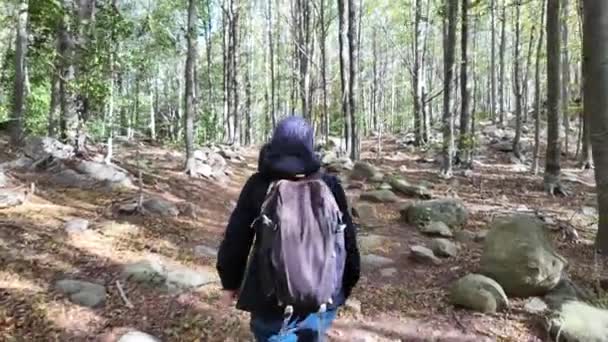 kobieta turysta z plecakiem spacery w lesie, natura - Materiał filmowy, wideo