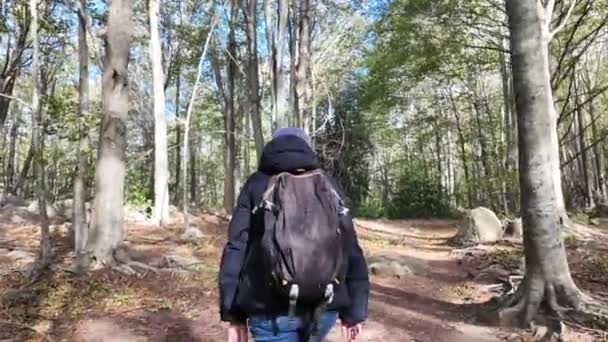 žena turistka s batohem procházky v lese, příroda - Záběry, video
