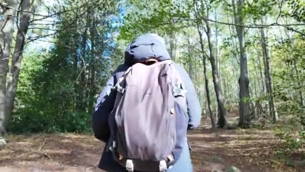 žena pěší turistka na stezce v lese, příroda - Záběry, video