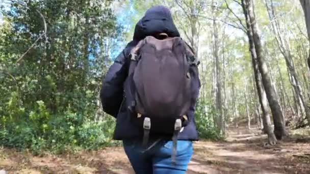 žena pěší turistka na stezce v lese, příroda - Záběry, video