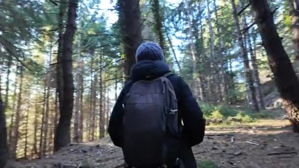 mulher caminhante na trilha na floresta, natureza  - Filmagem, Vídeo