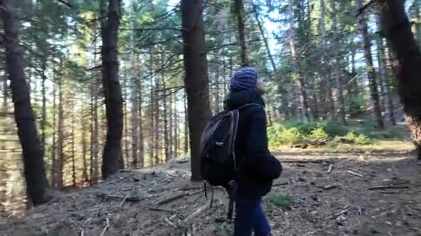 vrouw wandelaar op pad in bos, natuur  - Video