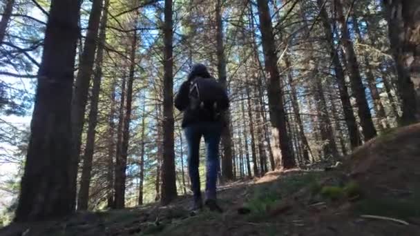 femme randonneur pédestre sur sentier en forêt, nature - Séquence, vidéo