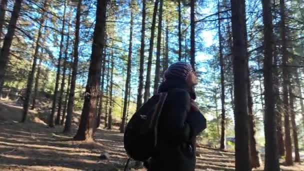 femme randonneuse sur sentier en forêt, nature - Séquence, vidéo
