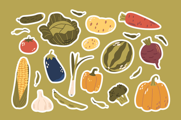 Set van Stickers met verse groenten. Wortel, paprika en tomaat. Komkommer, Broccoli, biet en aardappel met soja, maïs en knoflook rijpe, boerderij, gezonde productie. Cartoon Vector Patches - Vector, afbeelding