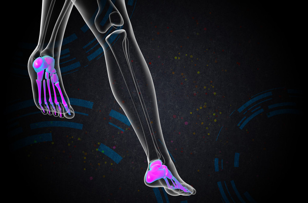 3d rendere illustrazione medica dell'osso del piede
 - Foto, immagini