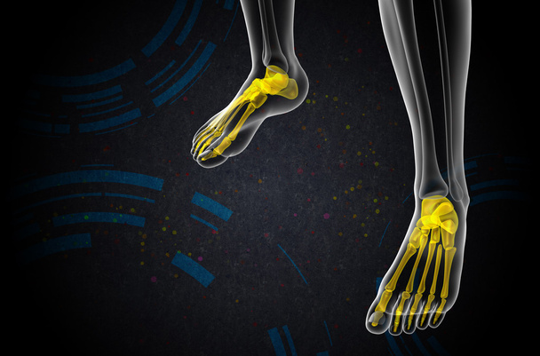 3d rendere illustrazione medica dell'osso del piede
 - Foto, immagini