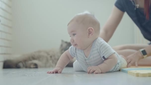 小さな赤ちゃんが床に這い上がる - 背景にふわふわした猫. ミッドショット - 映像、動画