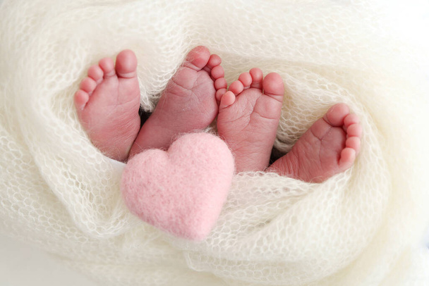 Pés de gémeos recém-nascidos. Dois pares de pés de bebê em um cobertor de malha branca. Coração de malha rosa. Feche - dedos do pé, saltos altos e pernas de um recém-nascido. Irmãos recém-nascidos, irmãs. Fotografia macro estúdio.  - Foto, Imagem