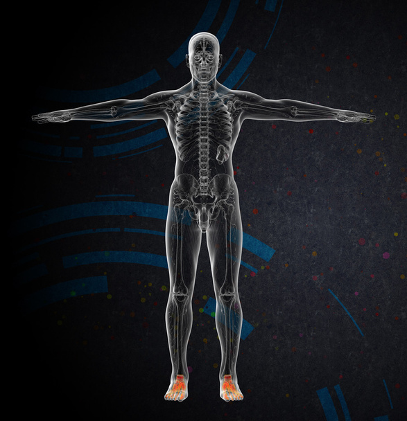 3D vykreslení lékařské ilustrace kosti nohy - Fotografie, Obrázek
