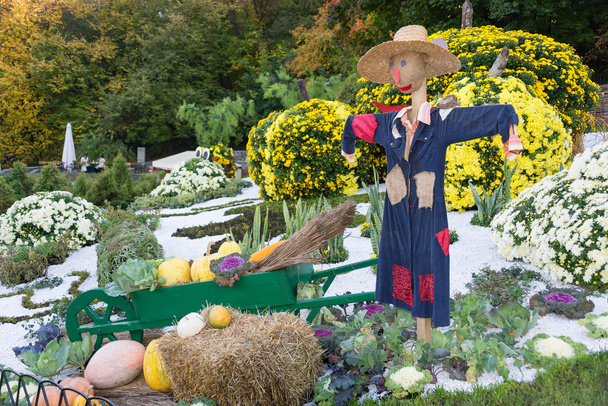 Smiling scarecrow in a vegetable garden in a countryside. - Photo, Image