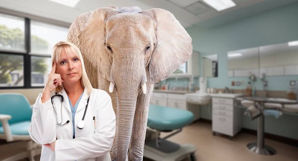 Σοβαρή ξανθιά γιατρός σε ένα νοσοκομείο με έναν ελέφαντα στο δωμάτιο. - Φωτογραφία, εικόνα