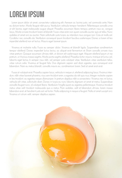 taze yumurta - Fotoğraf, Görsel