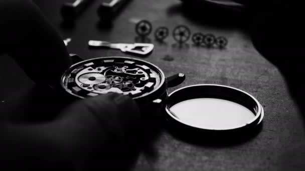 Riparazione orologio meccanico, bianco e nero - Filmati, video