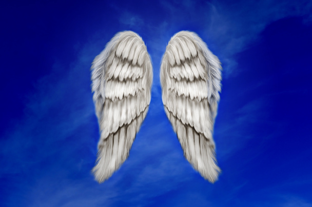 engel vleugels - Foto, afbeelding