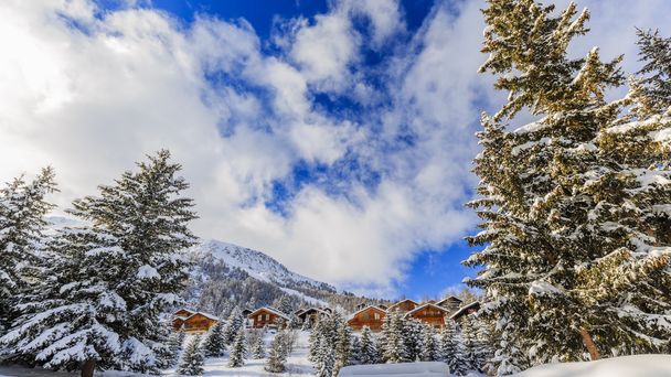 Зимний пейзаж, заснеженные деревья в швейцарских Альпах
 - Фото, изображение