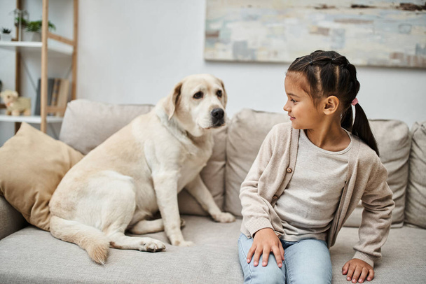 roztomilá dívka sedí na pohodlné pohovce s labradorem v moderním obývacím pokoji, zvířecí společník - Fotografie, Obrázek