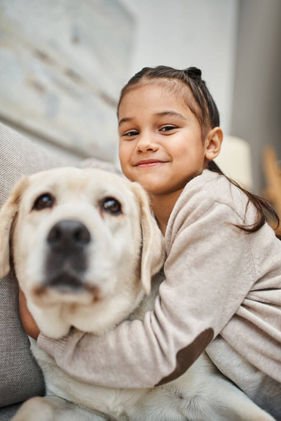 happy girl sitting on sofa and cuddling cute labrador in modern living room, furry friend and kid - Photo, Image