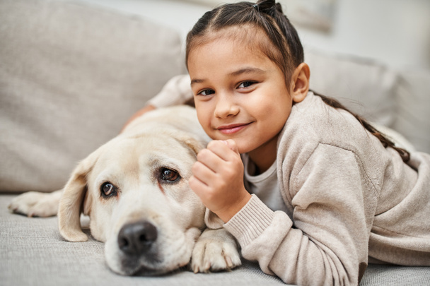portrait of happy girl smiling near cute labrador in modern living room, domestic animal and child - Photo, Image