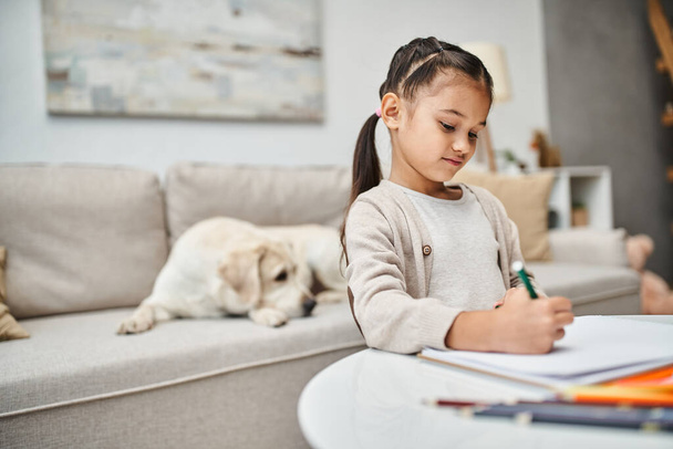 petite fille en vêtements décontractés dessin sur papier avec crayon de couleur près du labrador dans le salon, art - Photo, image