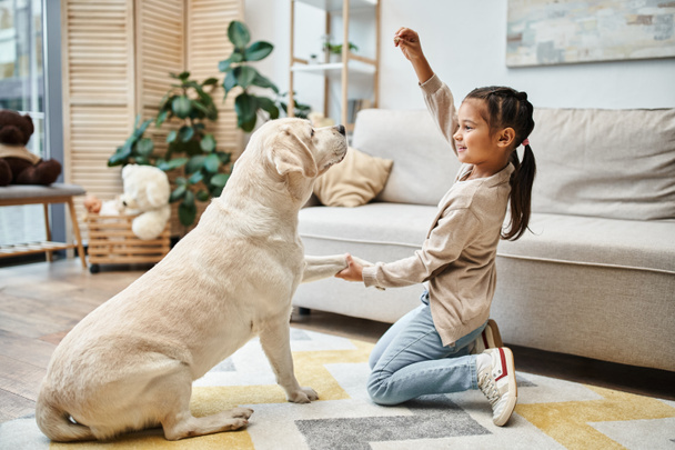 muchacha de edad elemental sonriendo y jugando con labrador en la sala de estar moderna, niño dando placer al perro - Foto, imagen